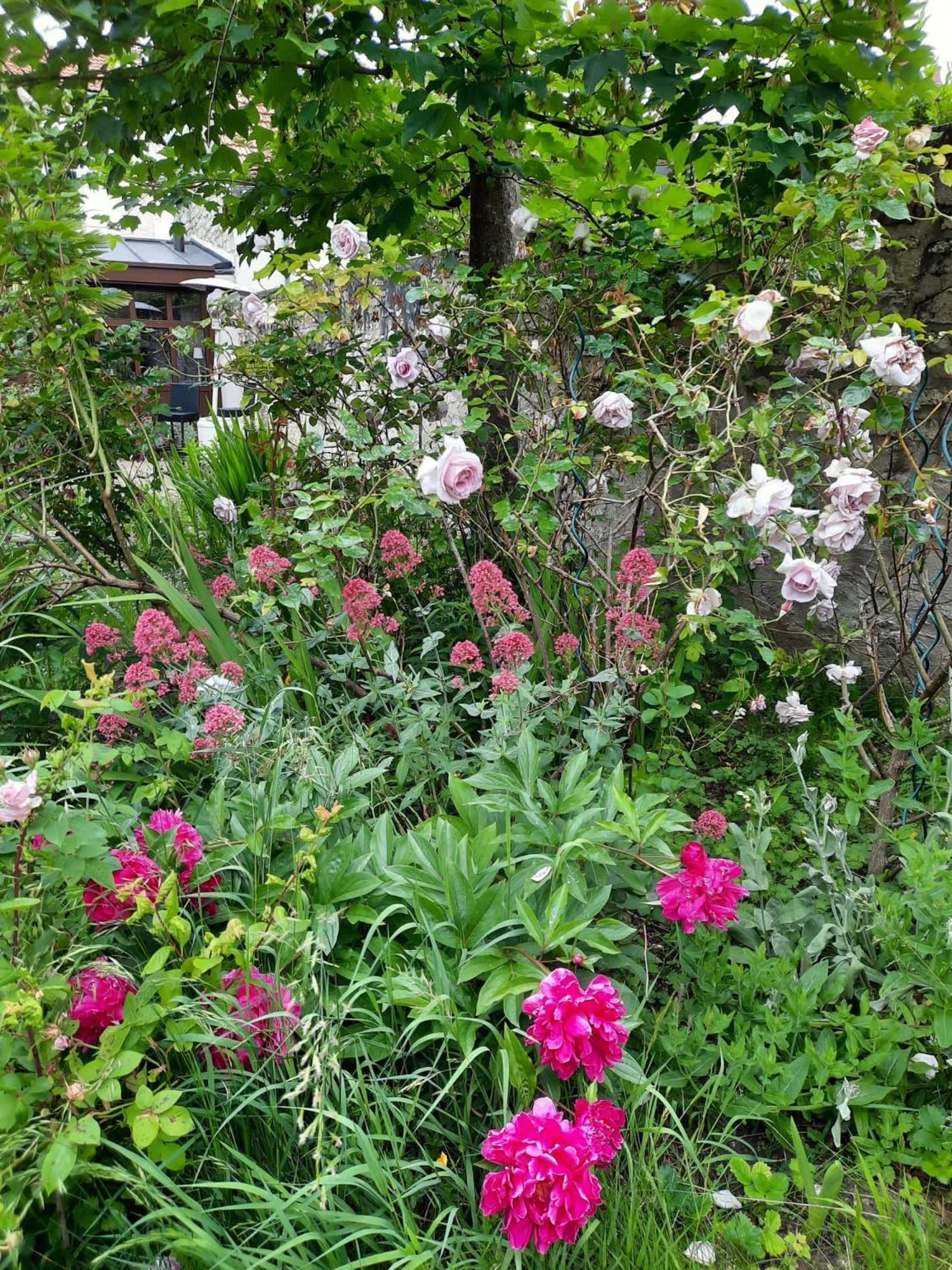 Pierres Et Jardins Bed and Breakfast Senlis  Εξωτερικό φωτογραφία